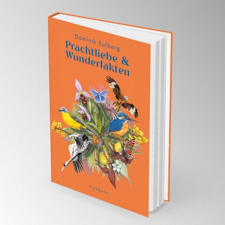 Produktbild: Prachtliebe & Wunderfakten