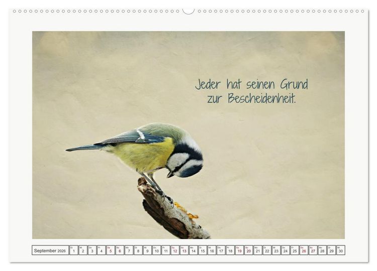Produktbild: Irische Segensw&uuml;nsche (Wandkalender 2026 DIN A2 quer), CALVENDO Monatskalender