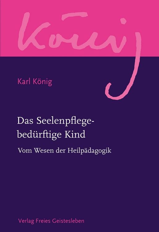 Produktbild: Das Seelenpflege-bed&uuml;rftige Kind