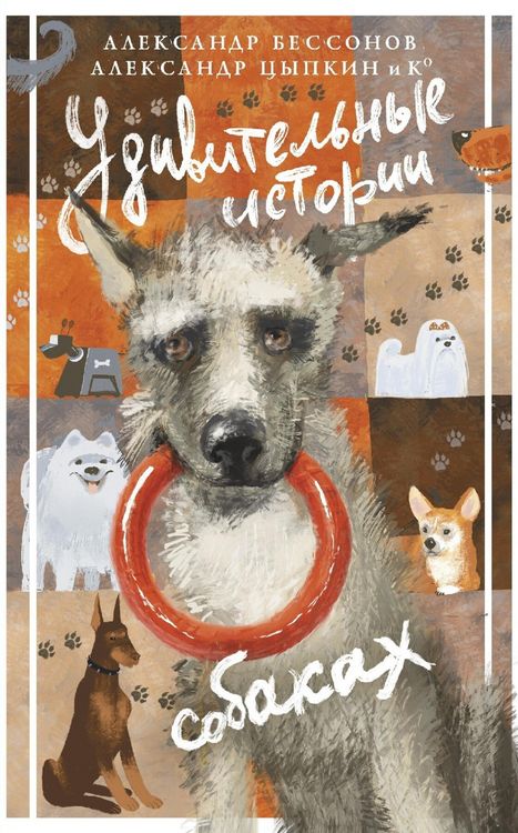 Produktbild: Udivitelnye istorii o sobakah