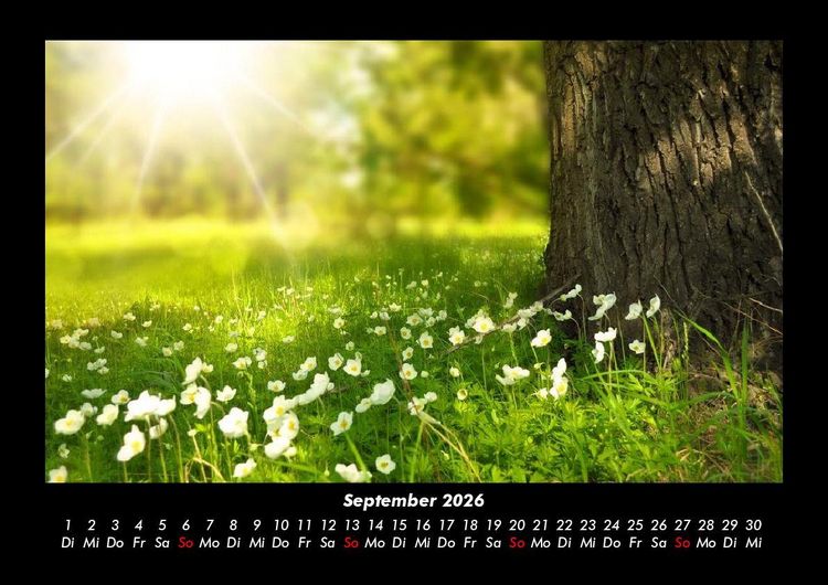 Produktbild: Blumentr&auml;ume 2026 Fotokalender DIN A3