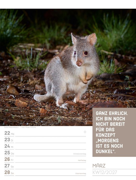Produktbild: Tierisch Spr&uuml;chekalender Wochenplaner 2027