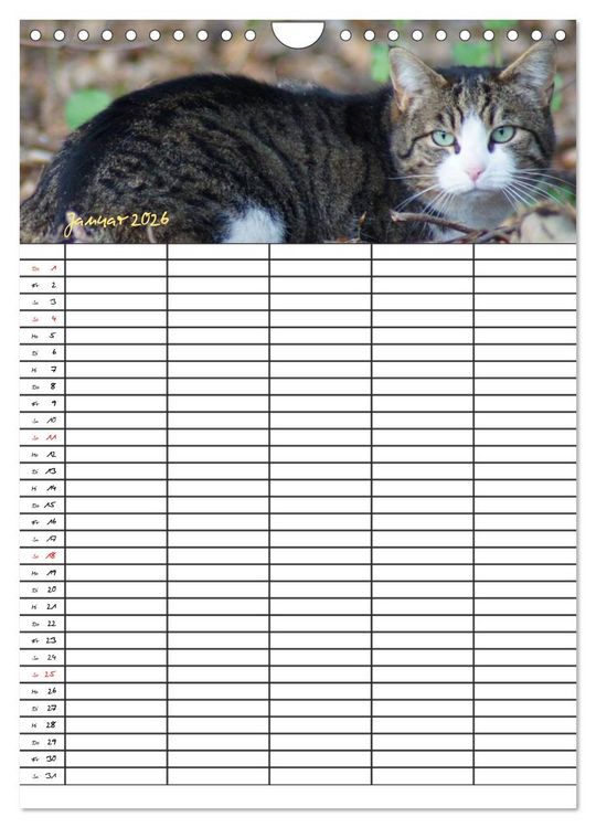 Produktbild: Bauernhoftiere Familienplaner (Wandkalender 2026 DIN A4 hoch), CALVENDO Monatskalender