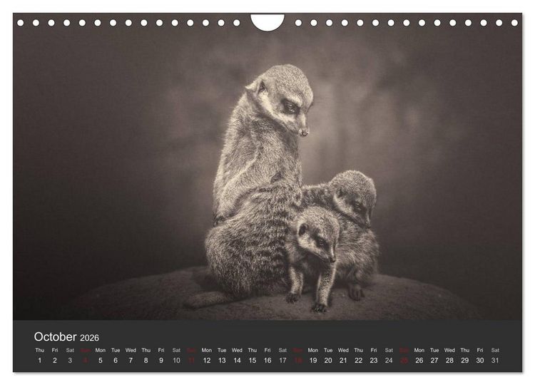Produktbild: African Souls African animals with soul (Wall Calendar 2026 DIN A4 landscape), CALVENDO 12 Month Wall Calendar