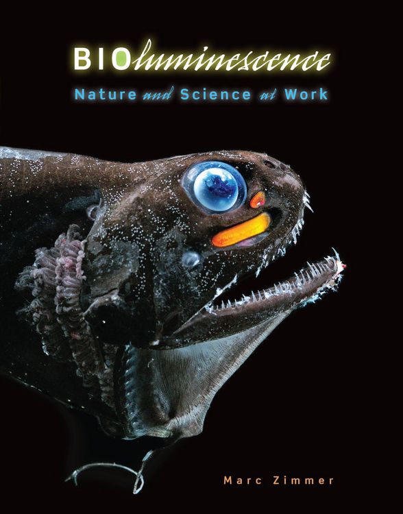 Produktbild: Bioluminescence