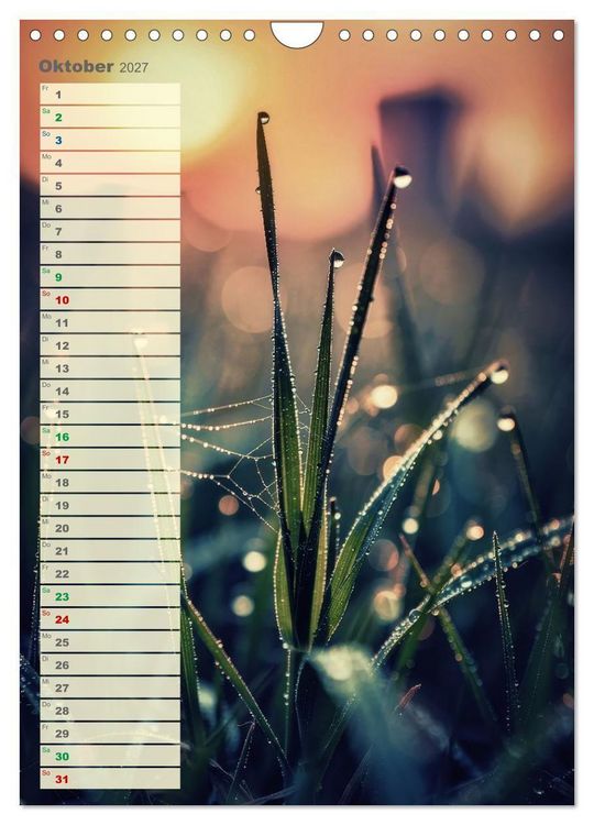 Produktbild: D&uuml;nen und Buhnen (Wandkalender 2027 DIN A4 hoch), CALVENDO Monatskalender