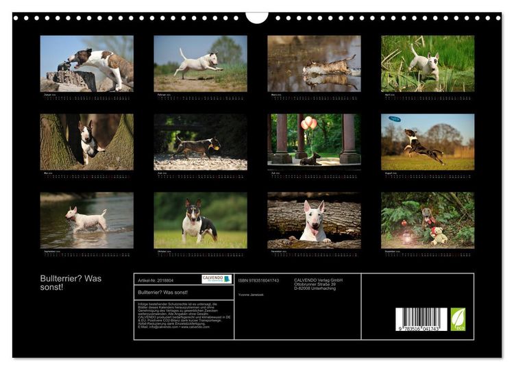 Produktbild: Bullterrier? Was sonst! (Wandkalender 2026 DIN A3 quer), CALVENDO Monatskalender