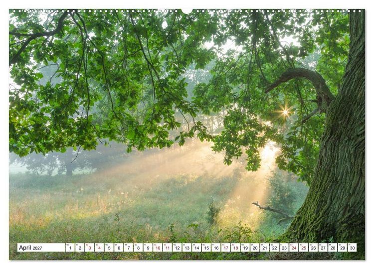 Produktbild: Mystische Momente in Mecklenburg-Vorpommern (hochwertiger Premium Wandkalender 2027 DIN A2 quer), Kunstdruck in Hochglanz