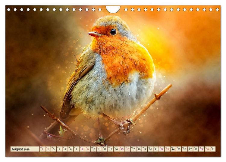 Produktbild: Bei uns im Garten - Rotkehlchen (Wandkalender 2026 DIN A4 quer), CALVENDO Monatskalender