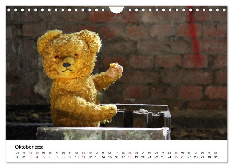 Produktbild: Teddys...jeder liebt sie (Wandkalender 2026 DIN A4 quer), CALVENDO Monatskalender