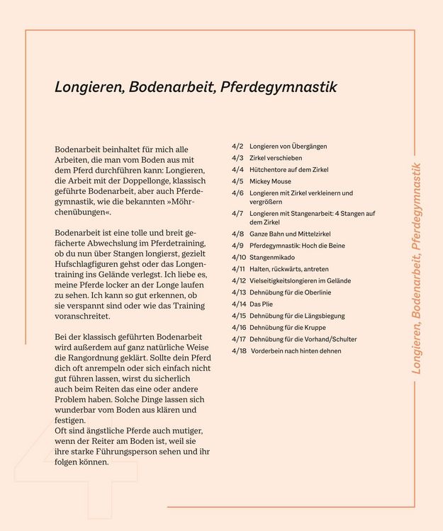 Produktbild: Die Reittrainings-Box