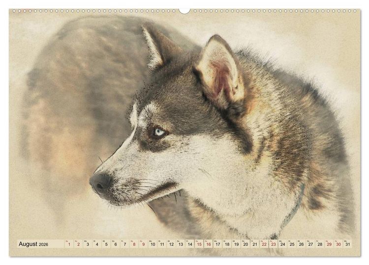 Produktbild: Schlittenhunde 2026 (Wandkalender 2026 DIN A2 quer), CALVENDO Monatskalender