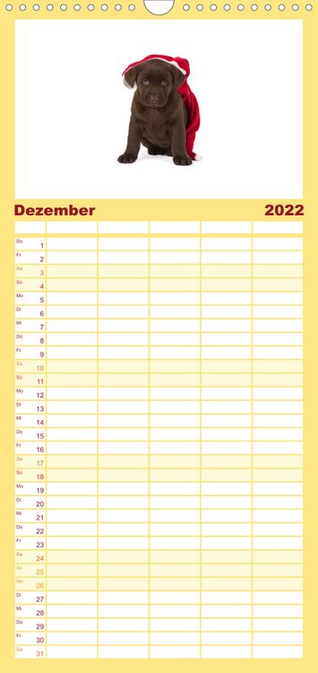 Produktbild: Familienplaner Labrador - Welpen (Wandkalender 2022 , 21 cm x 45 cm, hoch)