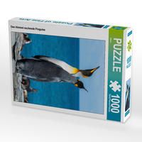 Produktbild: CALVENDO Puzzle Den Himmel suchende Pinguine | 1000 Teile Lege-Gr&ouml;&szlig;e 64x48cm Foto-Puzzle f&uuml;r gl&uuml;ckliche Stunden