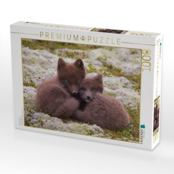 Produktbild: CALVENDO Puzzle Seite an Seite | 1000 Teile Lege-Gr&ouml;&szlig;e 64x48cm Foto-Puzzle f&uuml;r gl&uuml;ckliche Stunden