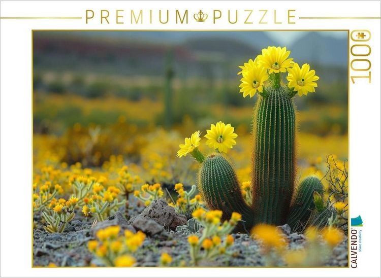 Produktbild: CALVENDO Puzzle Gelb bl&uuml;hende Kakteen | 1000 Teile Lege-Gr&ouml;&szlig;e 64x48cm Foto-Puzzle f&uuml;r gl&uuml;ckliche Stunden