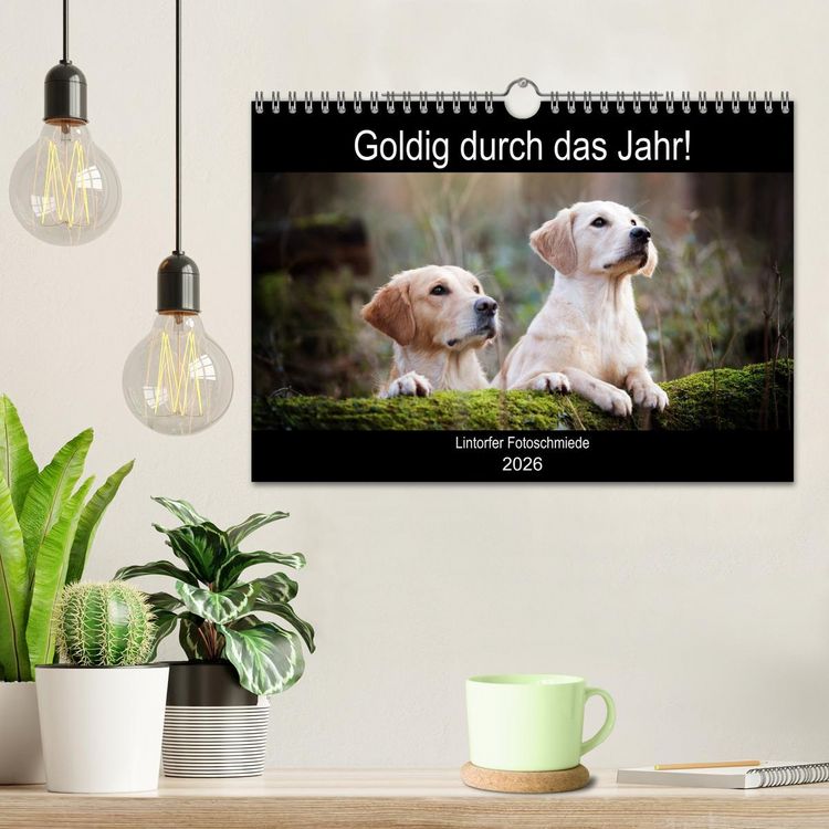 Produktbild: Goldig durch das Jahr! (Wandkalender 2026 DIN A4 quer), CALVENDO Monatskalender