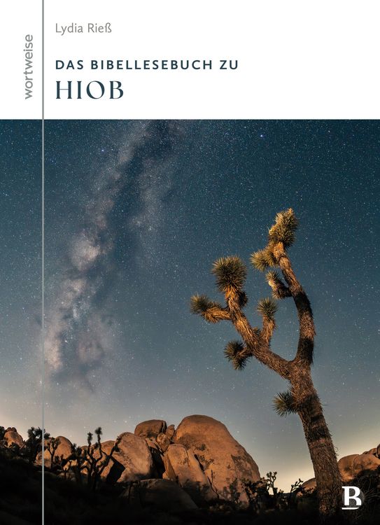 Produktbild: Das Bibellesebuch zu Hiob