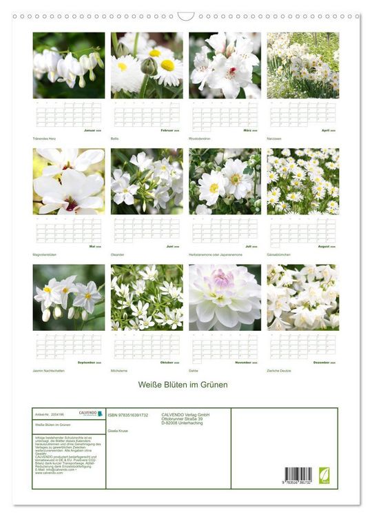 Produktbild: Wei&szlig;e Bl&uuml;ten im Gr&uuml;nen (Wandkalender 2026 DIN A2 hoch), CALVENDO Monatskalender