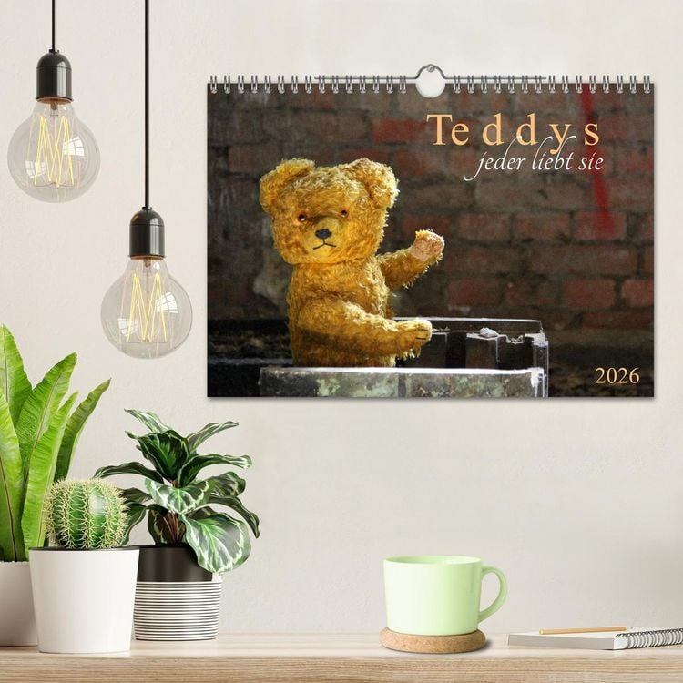 Produktbild: Teddys...jeder liebt sie (Wandkalender 2026 DIN A4 quer), CALVENDO Monatskalender