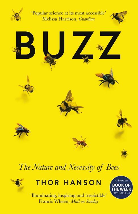 Produktbild: Buzz