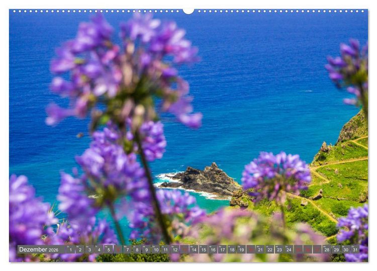 Produktbild: Madeira - Insel der Blumen 2026 (hochwertiger Premium Wandkalender 2026 DIN A2 quer), Kunstdruck in Hochglanz