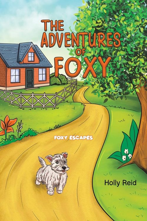 Produktbild: The Adventures of Foxy