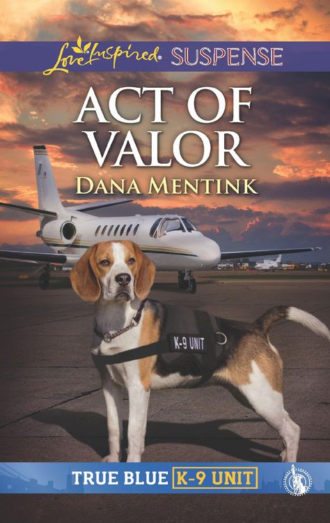 Produktbild: Act Of Valor
