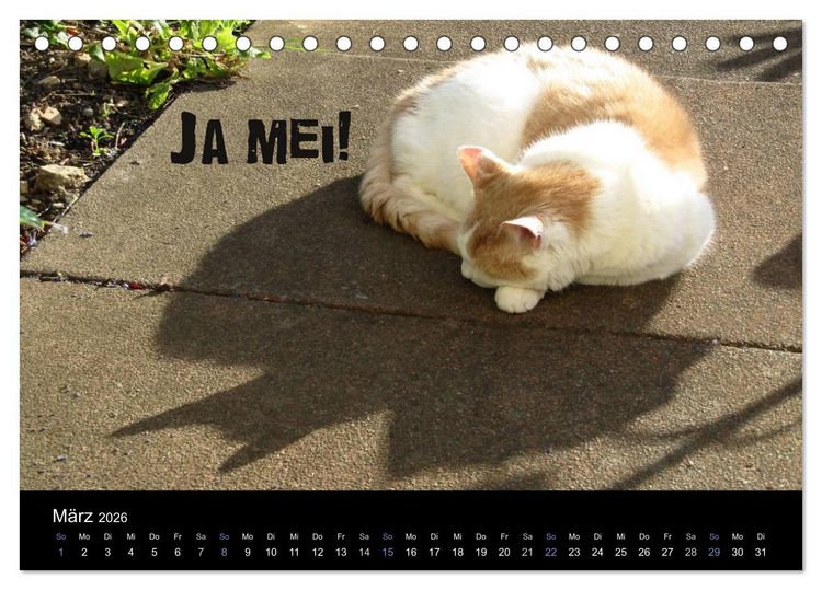Produktbild: Baierische Lebensweisheiten (Tischkalender 2026 DIN A5 quer), CALVENDO Monatskalender