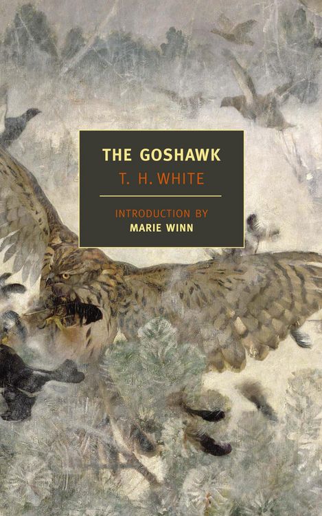 Produktbild: The Goshawk