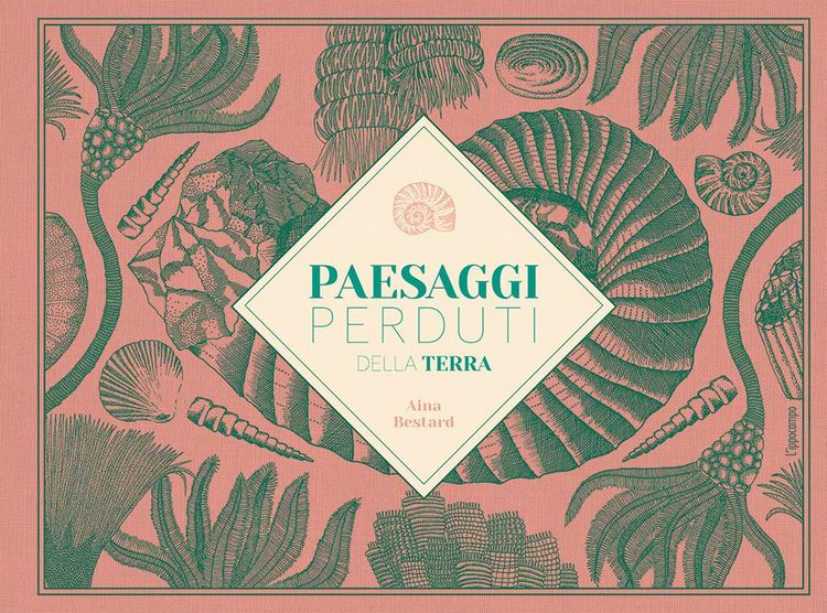 Produktbild: Paesaggi perduti della Terra