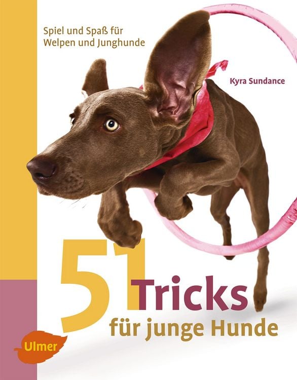 Produktbild: 51 Tricks f&uuml;r junge Hunde