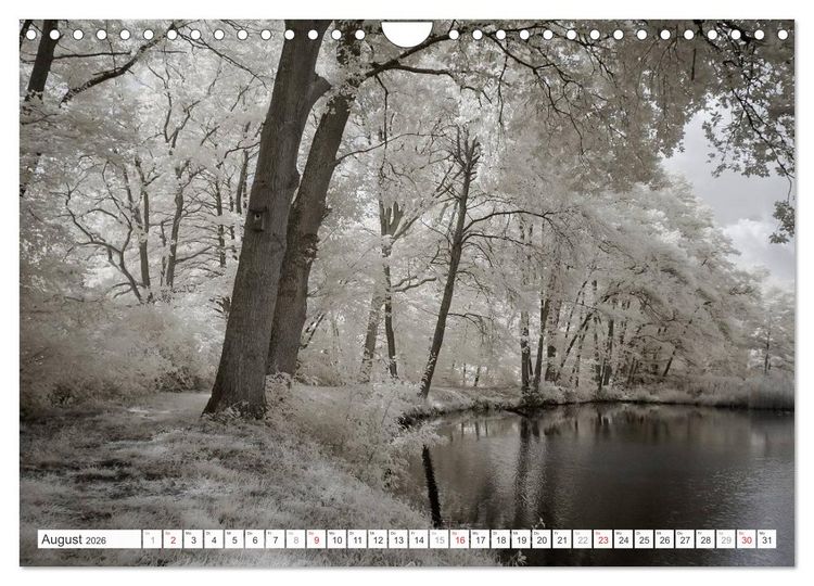 Produktbild: Zauberhafte Infrarot-Fotografie (Wandkalender 2026 DIN A4 quer), CALVENDO Monatskalender