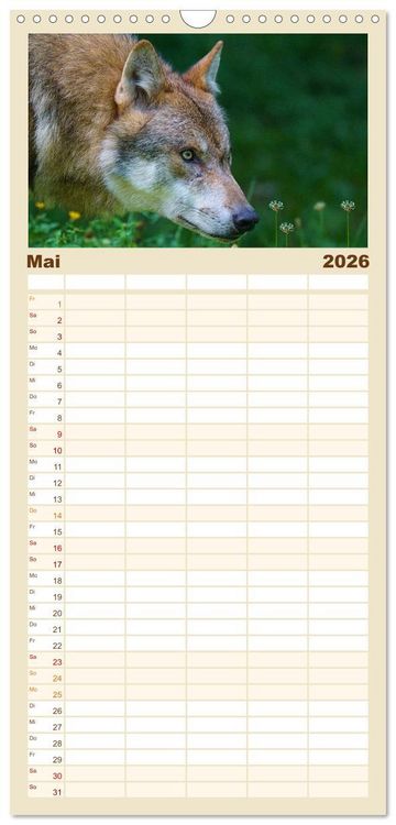 Produktbild: Familienplaner 2026 - Begegnung mit dem Wolf mit 5 Spalten (Wandkalender, 21 x 45 cm) CALVENDO