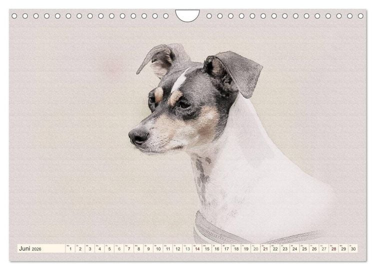 Produktbild: Bodeguero Andaluz 2026 (Wandkalender 2026 DIN A4 quer), CALVENDO Monatskalender