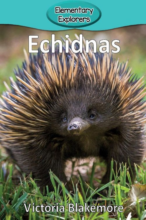 Produktbild: Echidnas