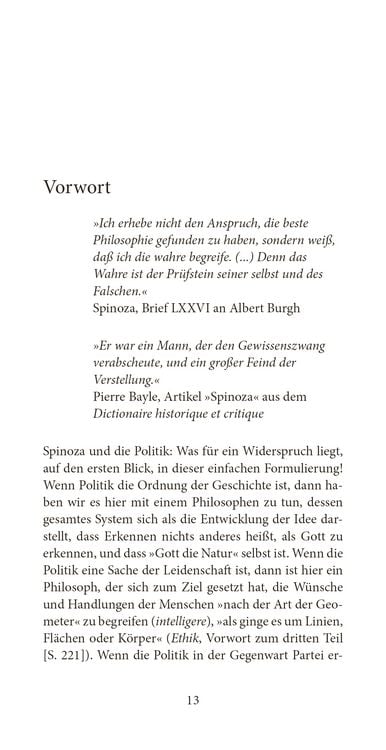 Produktbild: Spinoza und die Politik