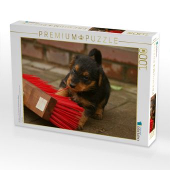 Produktbild: CALVENDO Puzzle Ein Motiv aus dem Kalender Airedale Terrier Welpen | 1000 Teile Lege-Gr&ouml;&szlig;e 64x48cm Foto-Puzzle f&uuml;r gl&uuml;ckliche Stunden