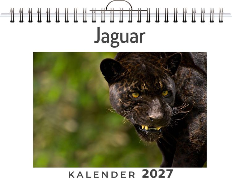 Produktbild: Jaguar