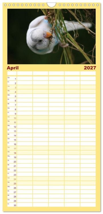 Produktbild: Familienplaner 2027 - Wellensittichkalender! - Das Original mit 5 Spalten (Wandkalender, 21 x 45 cm) CALVENDO