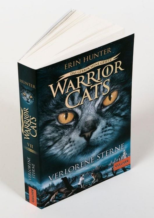 Produktbild: Warrior Cats - Das gebrochene Gesetz. Verlorene Sterne
