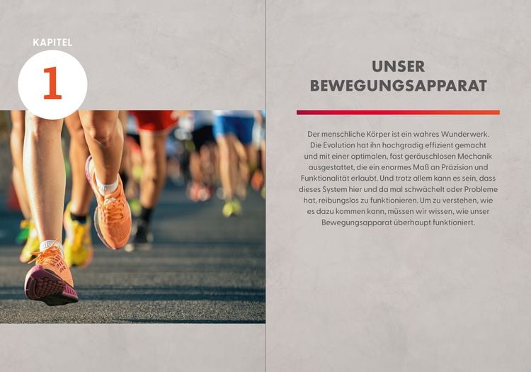 Produktbild: Die Faszienl&uuml;ge