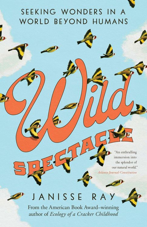 Produktbild: Wild Spectacle