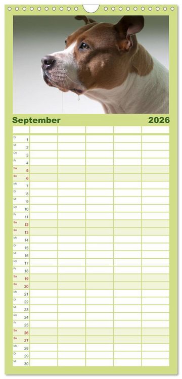 Produktbild: Familienplaner 2026 - Pit Bull und Co. - Geliebt, gef&uuml;rchtet, missverstanden mit 5 Spalten (Wandkalender, 21 x 45 cm) CALVENDO