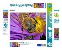 Produktbild: CALVENDO Puzzle Honigbiene | 1000 Teile Lege-Gr&ouml;&szlig;e 64x48cm Foto-Puzzle f&uuml;r gl&uuml;ckliche Stunden