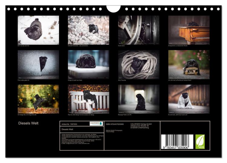 Produktbild: Diesels Welt (Wandkalender 2026 DIN A4 quer), CALVENDO Monatskalender