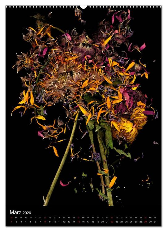 Produktbild: Blumen bei Nacht (hochwertiger Premium Wandkalender 2026 DIN A2 hoch), Kunstdruck in Hochglanz