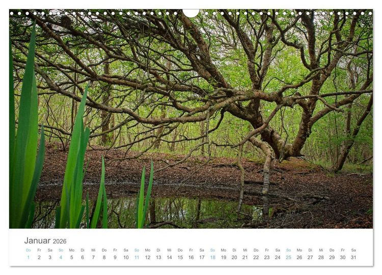 Produktbild: Juist - mein T&ouml;werland (Wandkalender 2026 DIN A3 quer), CALVENDO Monatskalender