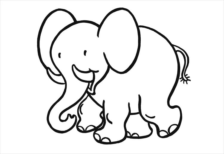 Produktbild: Erstes Malbuch. Tiere