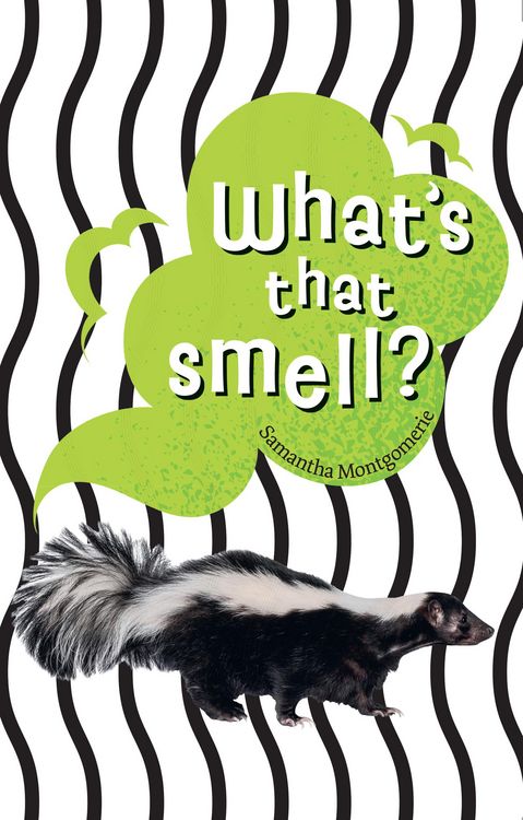 Produktbild: Big Cat Lw Flu_whats Smell